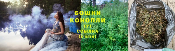 дурь Тавда