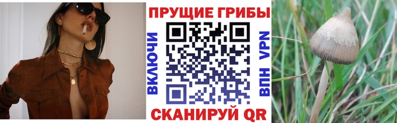 Галлюциногенные грибы Magic Shrooms  мега вход  Клинцы  хочу наркоту 